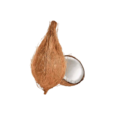 Fresh - 1 Piece Fresh Coconut (for Pooja)